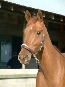 This was before she won the KY OAKS 2006