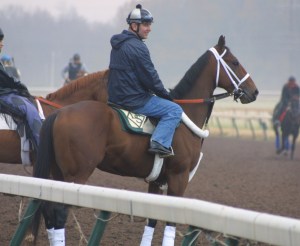 Who said clothes don't make the gelding?