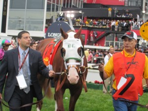 Will Take Charge, 2013 at the Preakness.