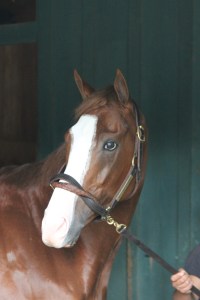 D. Wayne Lukas trainee Will Take Charge at Santa Anita Racetrack.