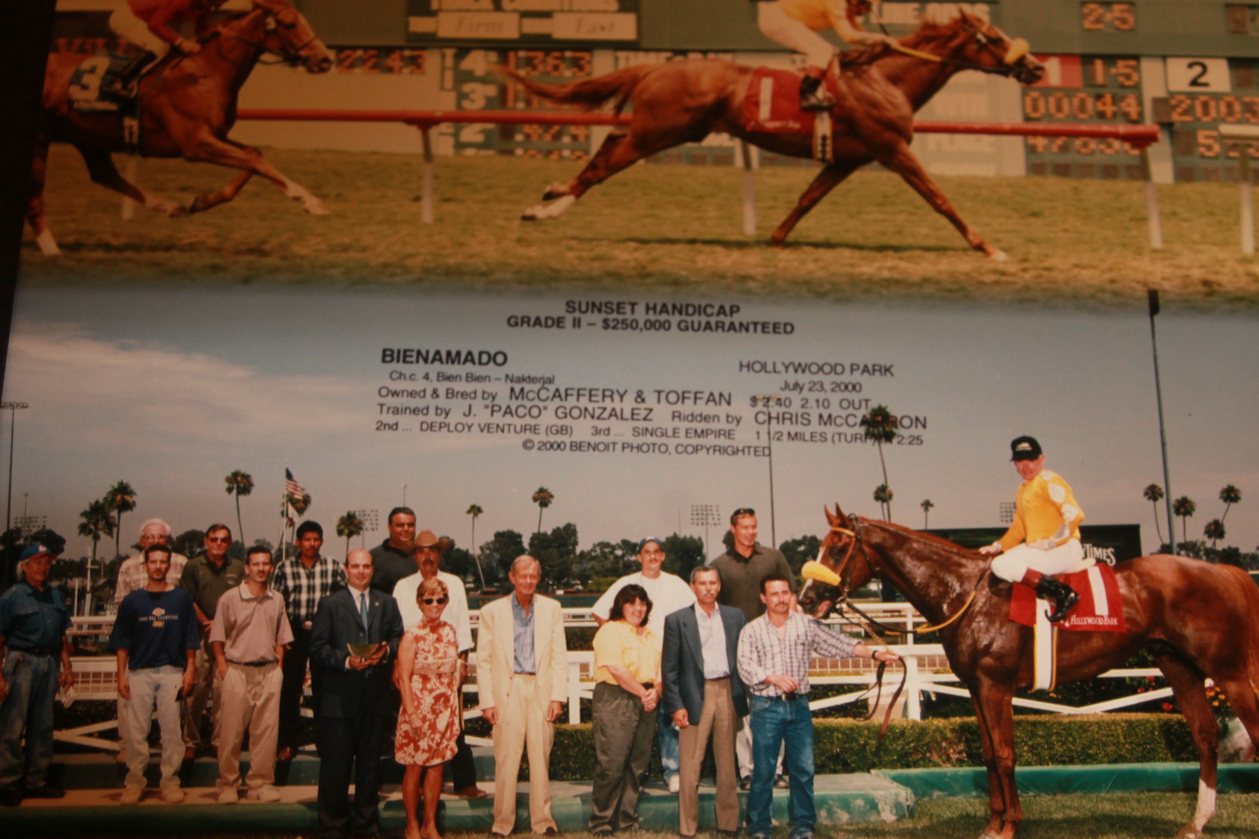 Bienamado wins at Hollywood Park