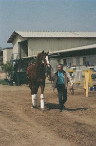 Bienamado and Paco at Hollywood Park