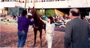 SADDLING MY FIRST HORSE AS A TRAINER AT HOLLYWOOD PARK RACETRACK